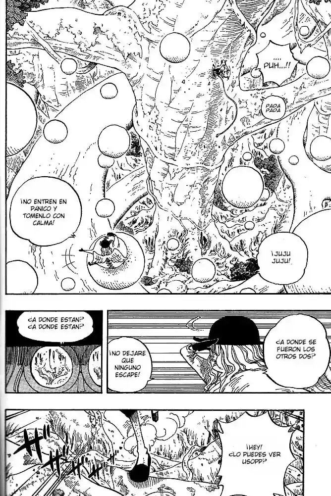 One Piece Capitulo 247 página 6