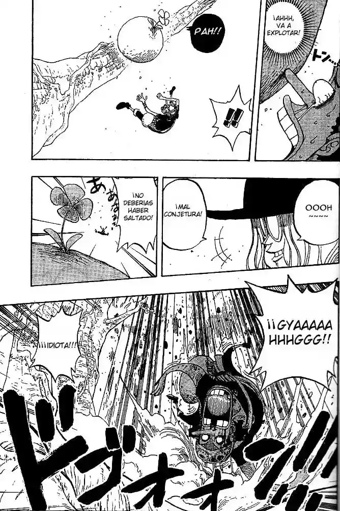 One Piece Capitulo 247 página 9