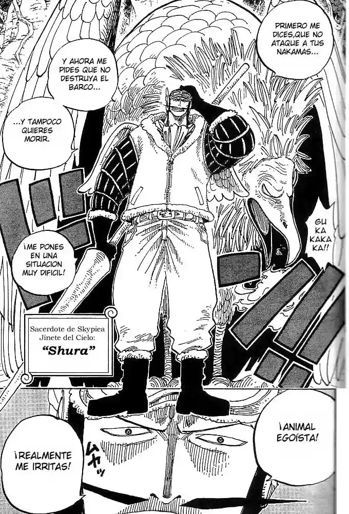 One Piece Capitulo 248 página 11