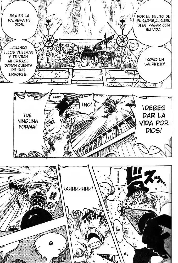 One Piece Capitulo 248 página 15