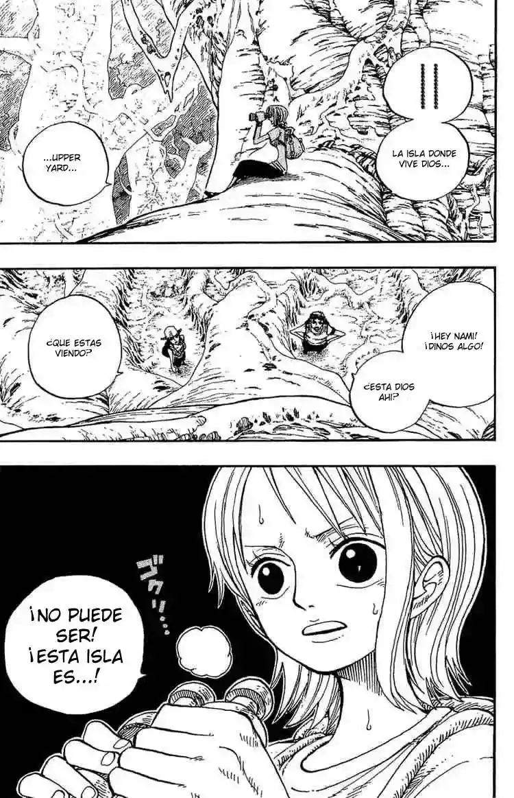 One Piece Capitulo 249 página 13