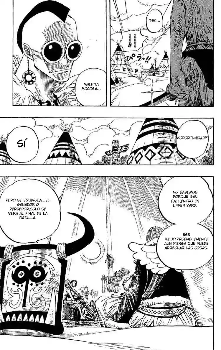 One Piece Capitulo 249 página 7