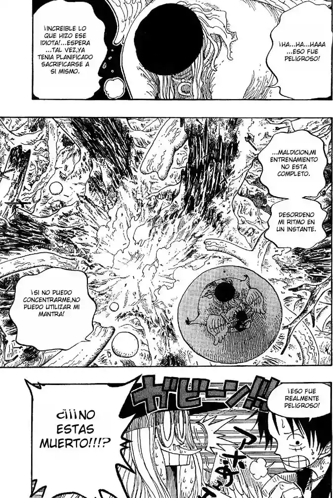 One Piece Capitulo 250 página 13