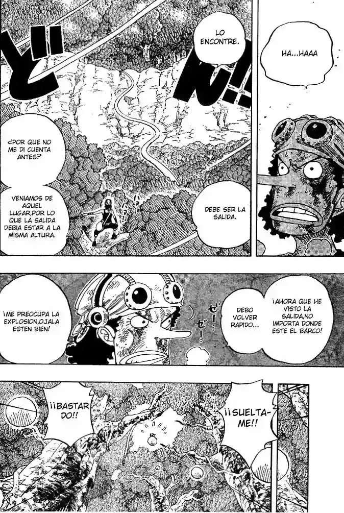 One Piece Capitulo 250 página 14