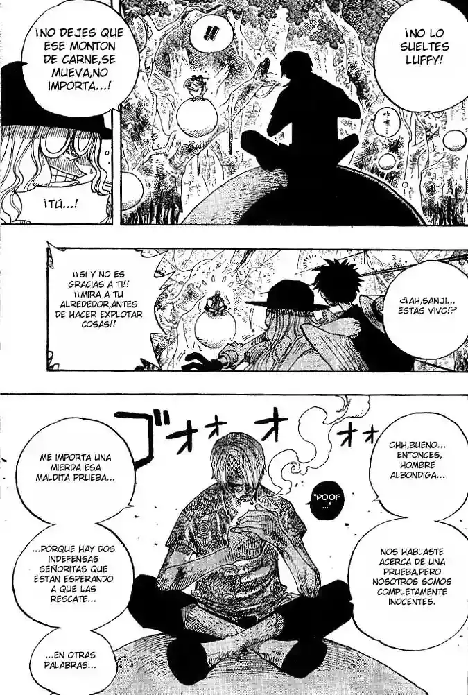 One Piece Capitulo 250 página 15