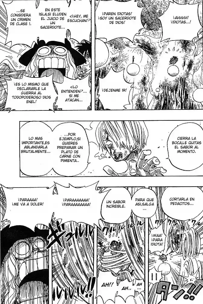 One Piece Capitulo 250 página 17