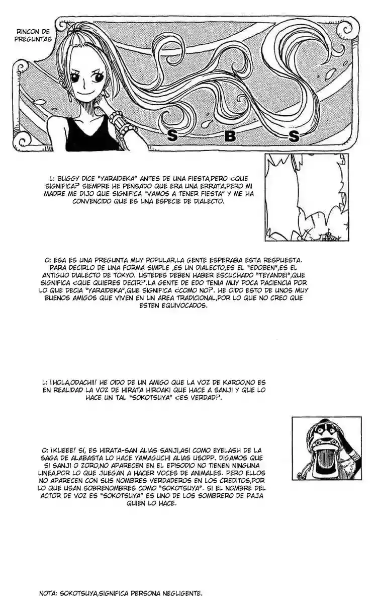 One Piece Capitulo 250 página 19