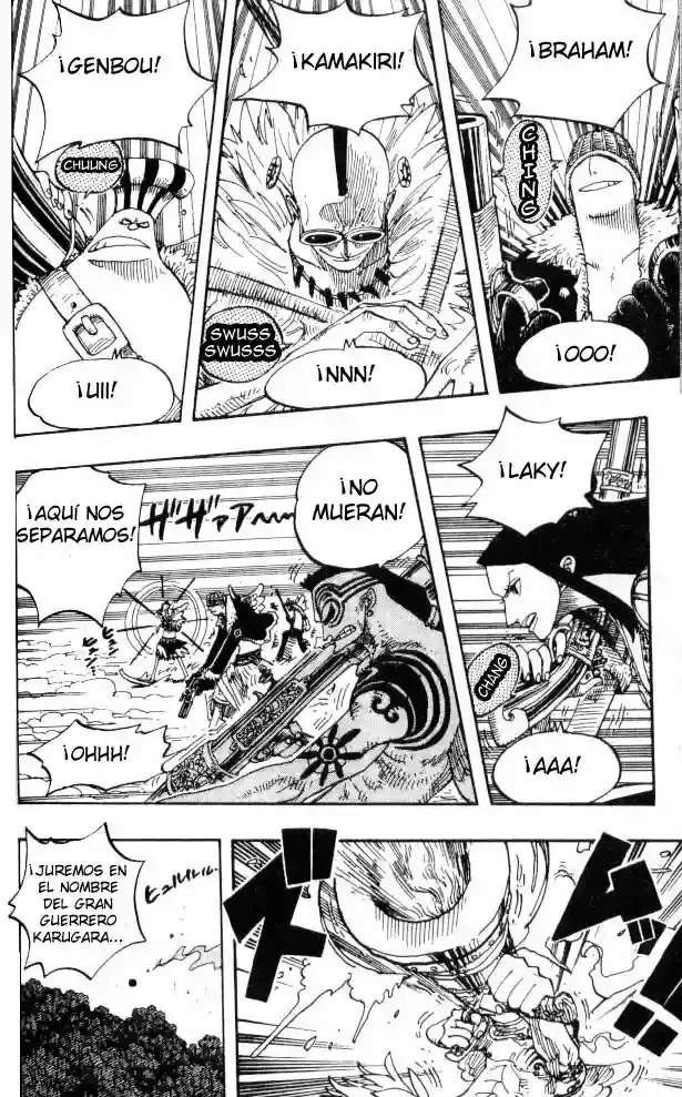 One Piece Capitulo 251 página 12