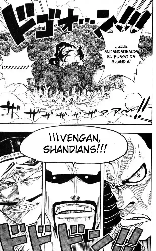 One Piece Capitulo 251 página 13