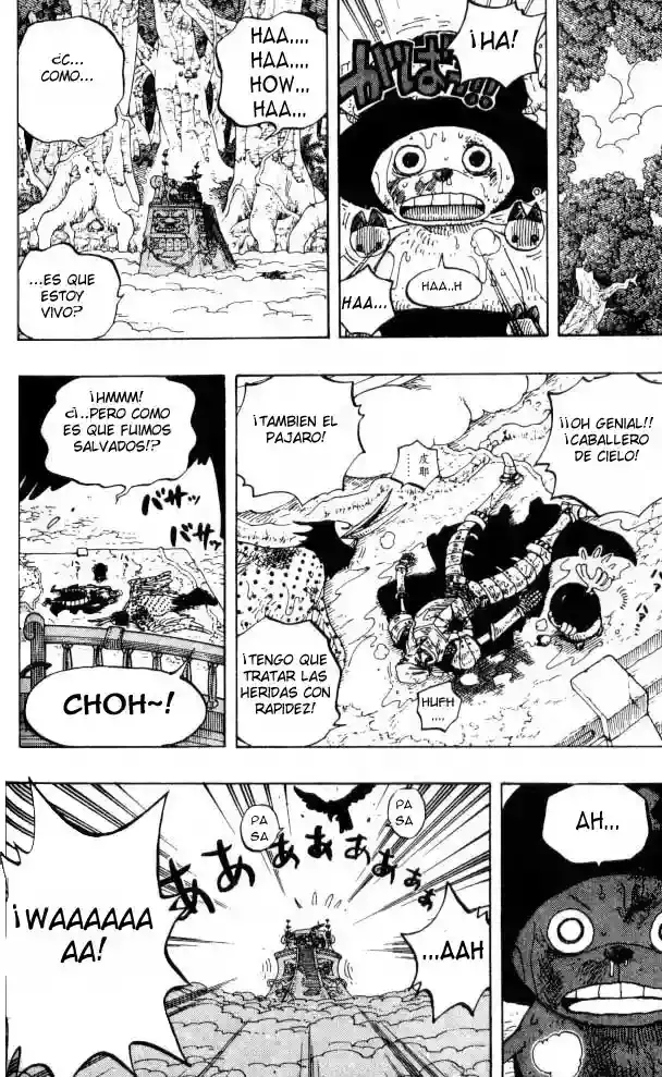 One Piece Capitulo 251 página 14
