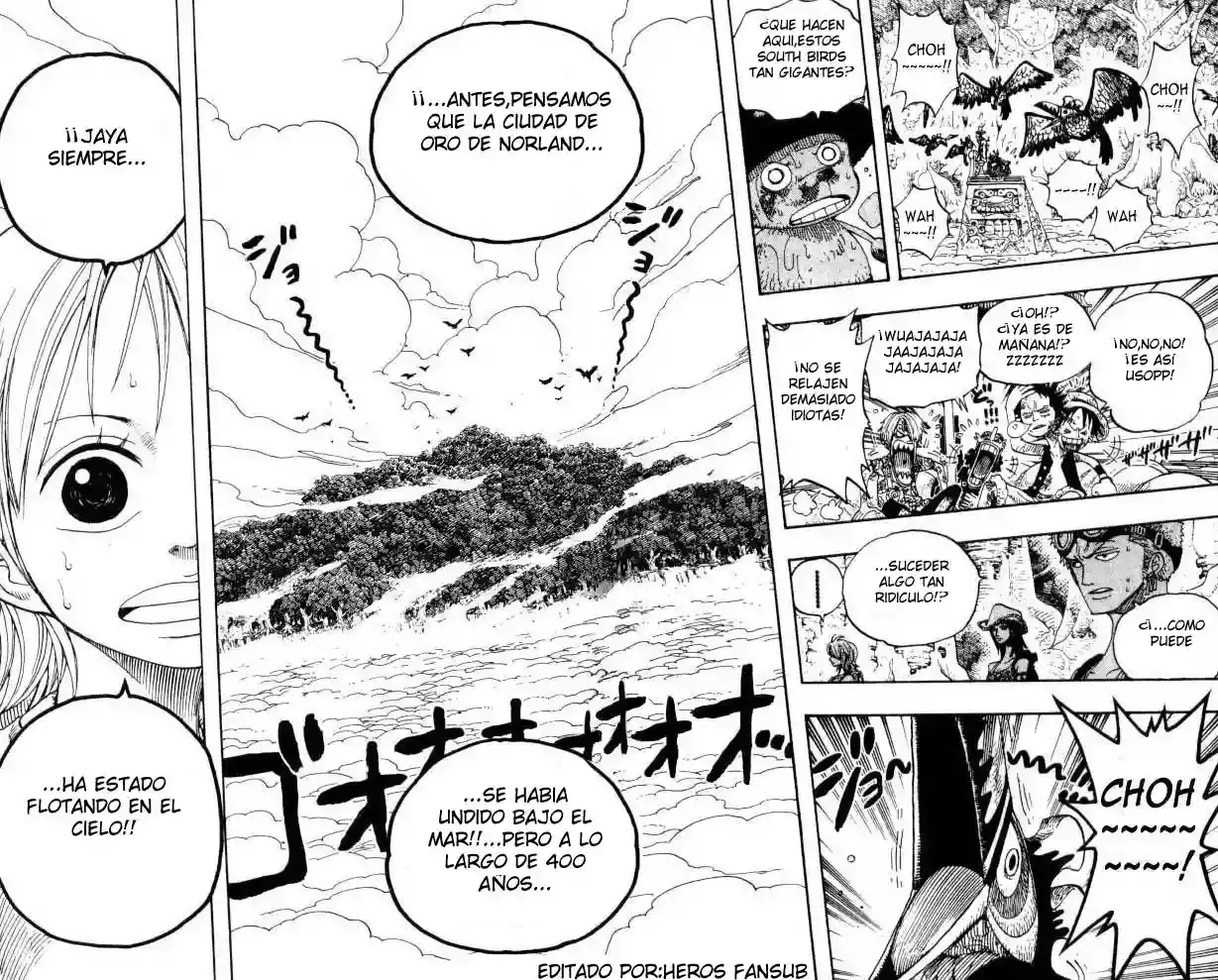 One Piece Capitulo 251 página 17