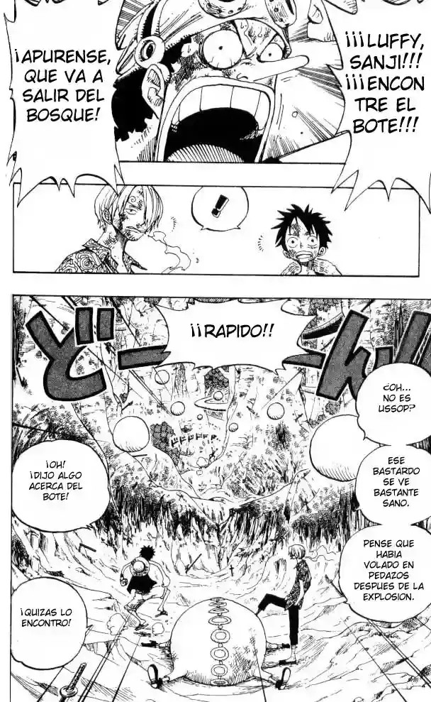 One Piece Capitulo 251 página 4