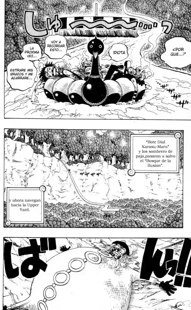 One Piece Capitulo 251 página 6