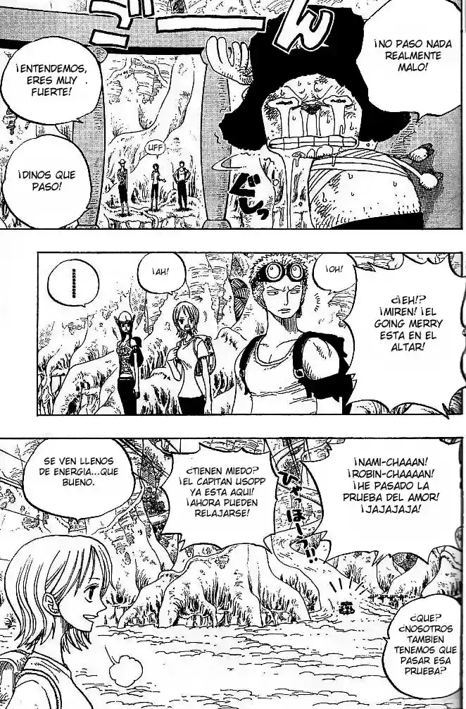 One Piece Capitulo 252 página 15