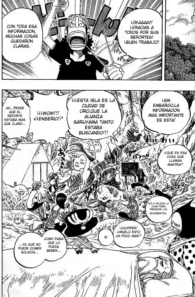One Piece Capitulo 252 página 18