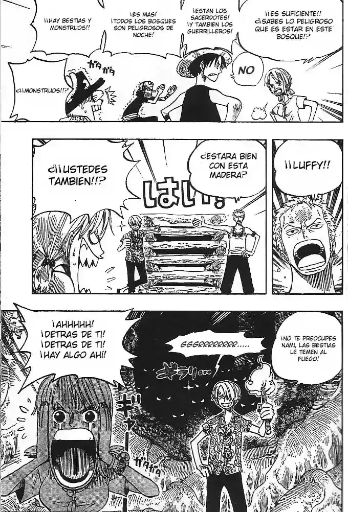 One Piece Capitulo 253 página 13