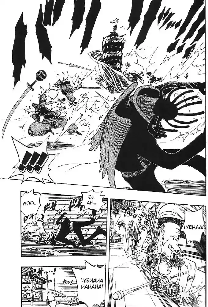 One Piece Capitulo 254 página 10
