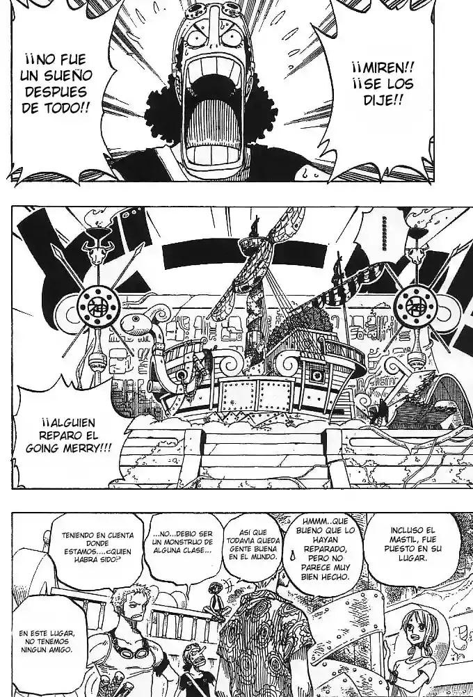 One Piece Capitulo 254 página 13
