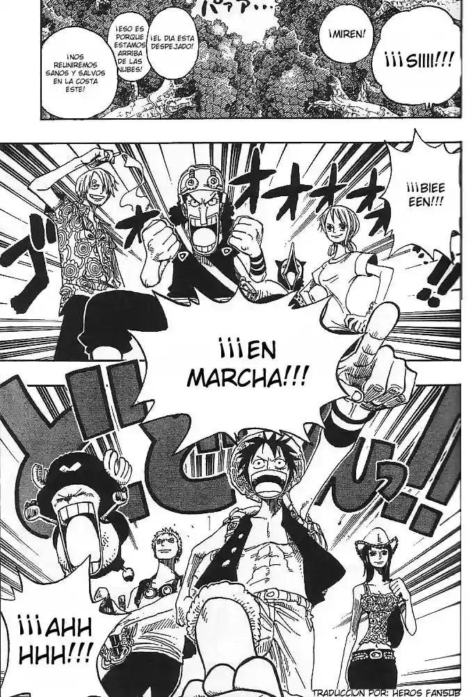 One Piece Capitulo 254 página 16