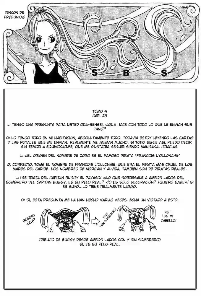 One Piece Capitulo 254 página 17