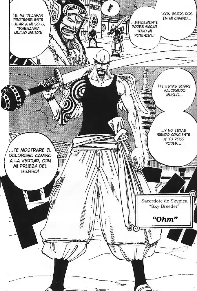 One Piece Capitulo 254 página 7