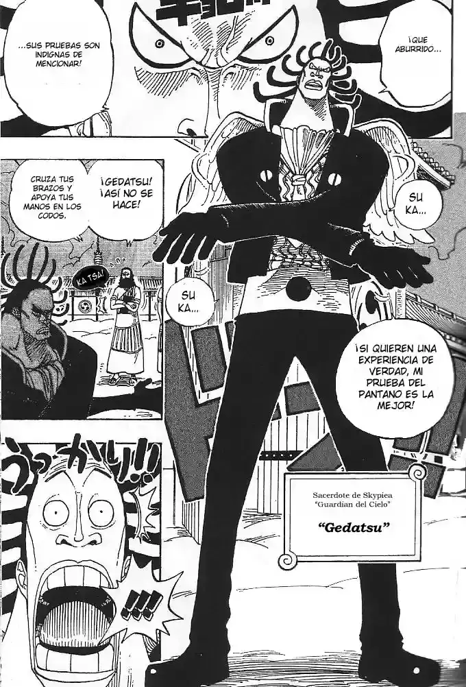One Piece Capitulo 254 página 8