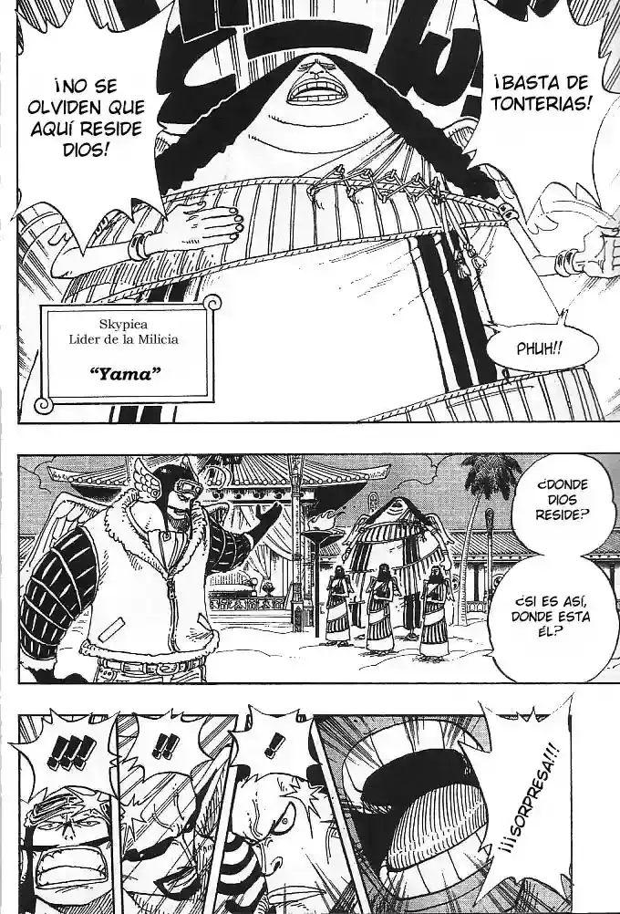 One Piece Capitulo 254 página 9