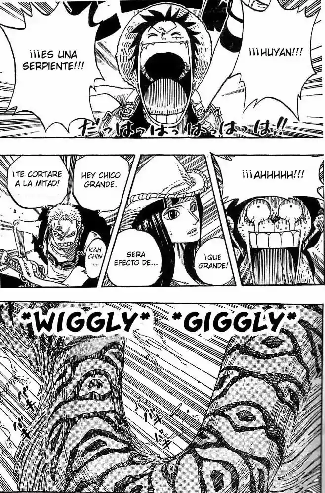 One Piece Capitulo 255 página 13