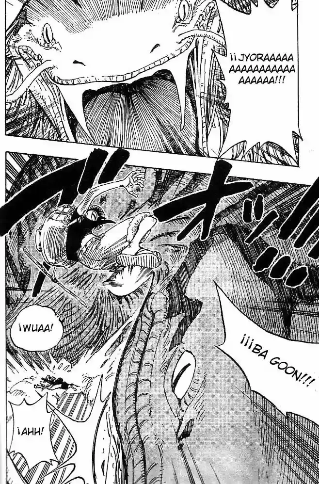 One Piece Capitulo 255 página 14