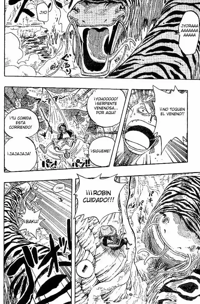 One Piece Capitulo 255 página 16