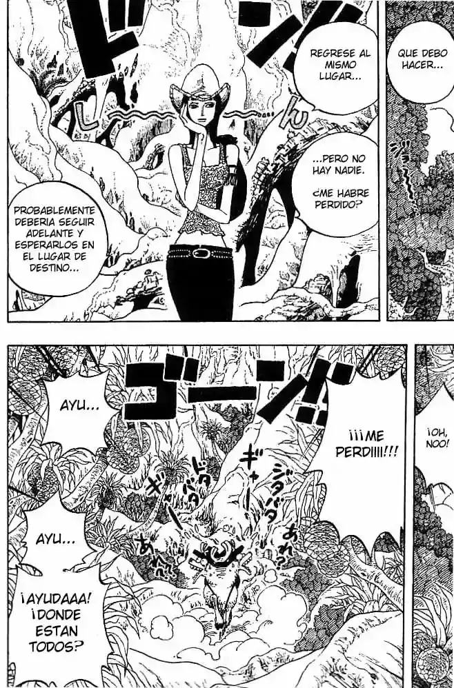 One Piece Capitulo 255 página 18