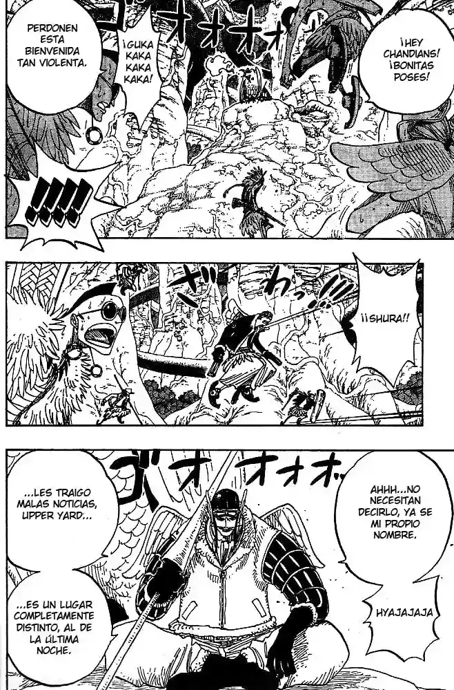 One Piece Capitulo 256 página 14