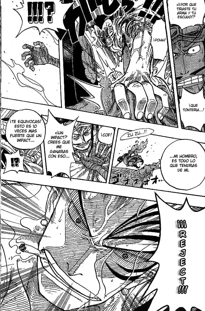 One Piece Capitulo 256 página 17