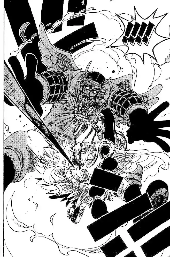 One Piece Capitulo 256 página 18