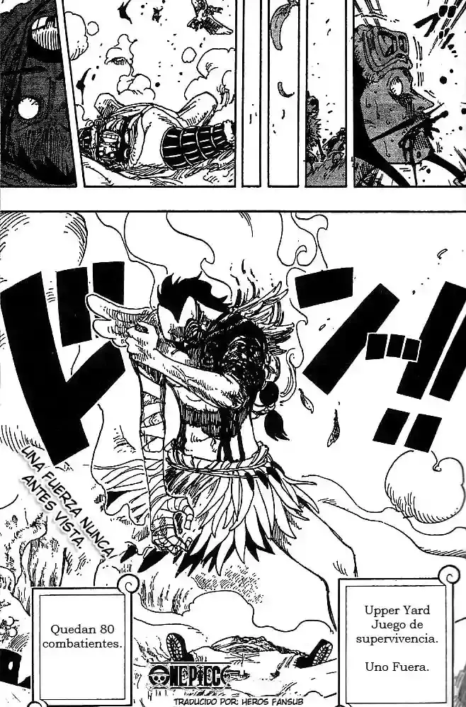 One Piece Capitulo 256 página 19