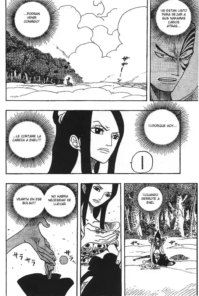 One Piece Capitulo 257 página 10