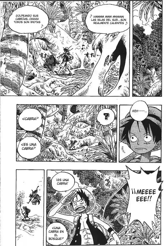 One Piece Capitulo 257 página 17