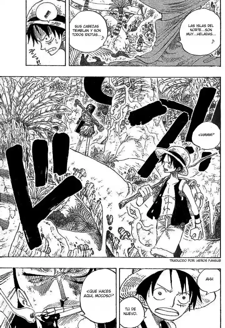 One Piece Capitulo 257 página 19