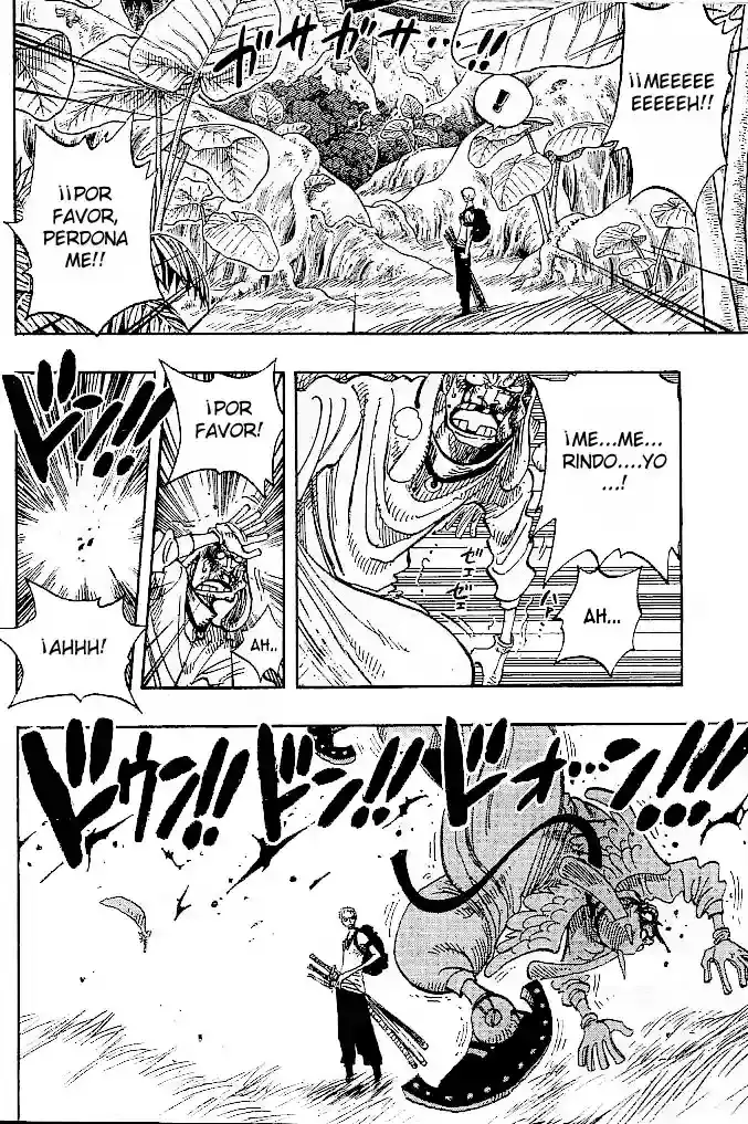 One Piece Capitulo 258 página 14