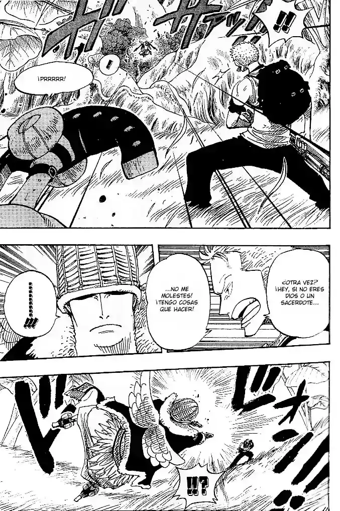 One Piece Capitulo 258 página 15