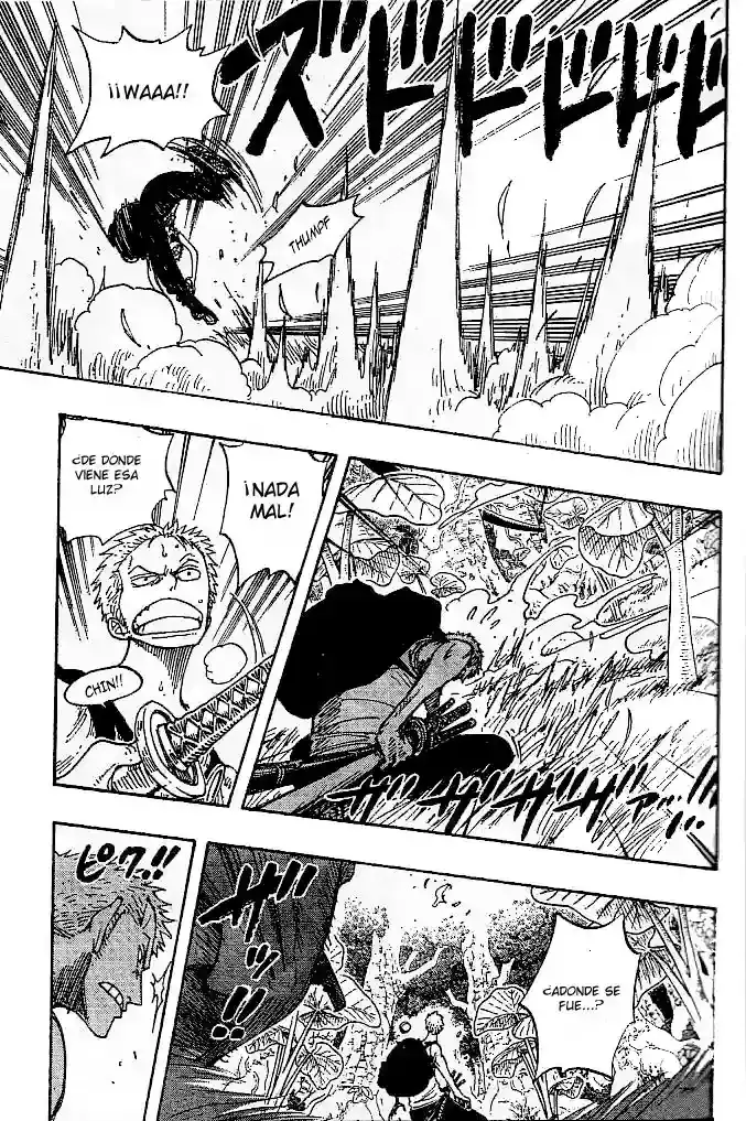 One Piece Capitulo 258 página 17