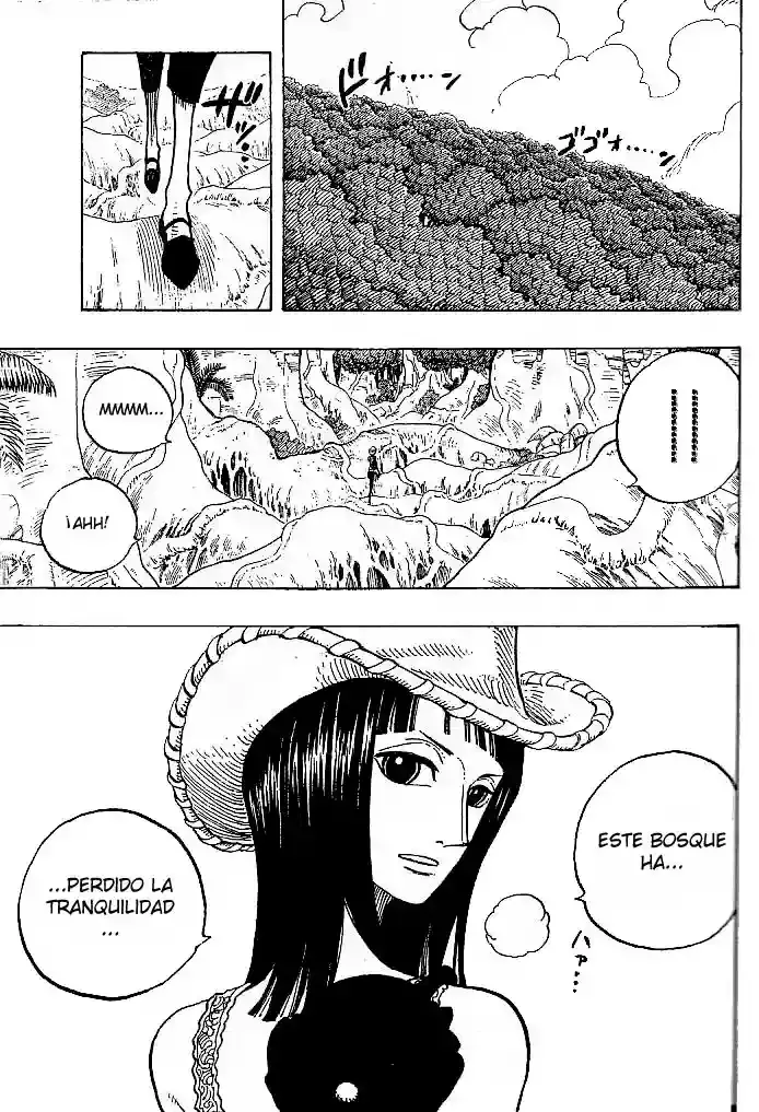 One Piece Capitulo 258 página 7