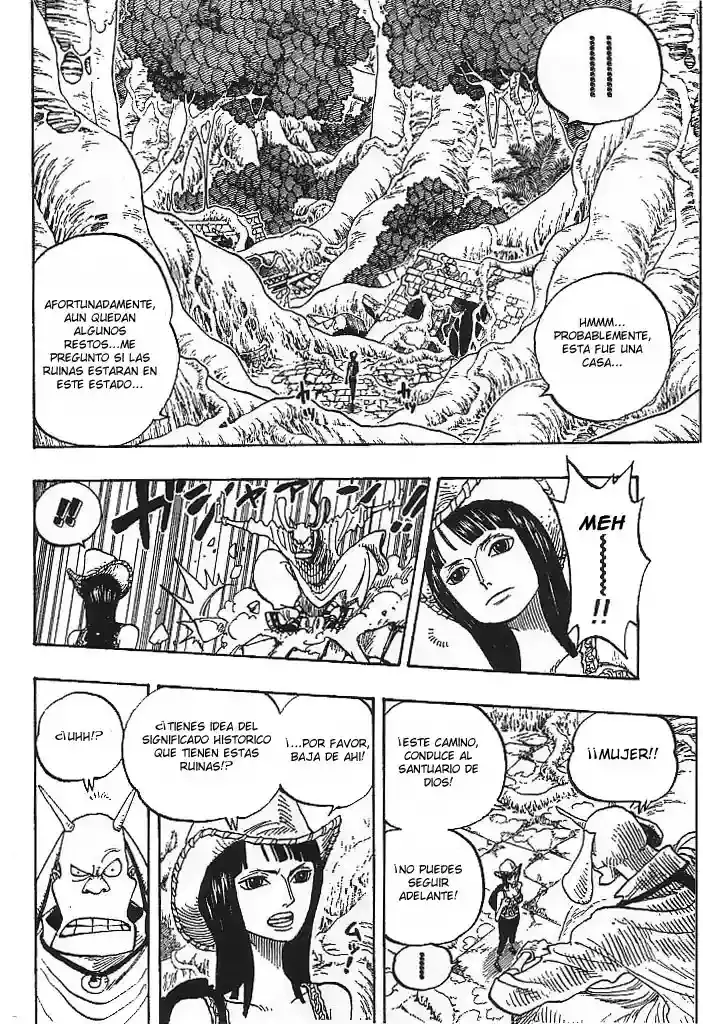 One Piece Capitulo 258 página 8