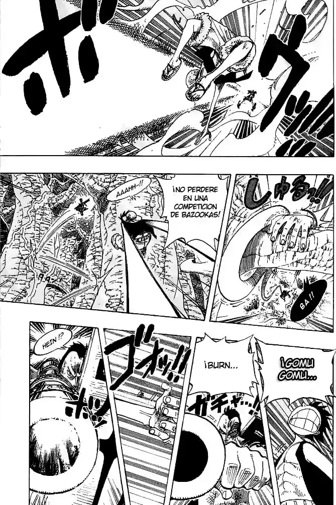 One Piece Capitulo 260 página 14