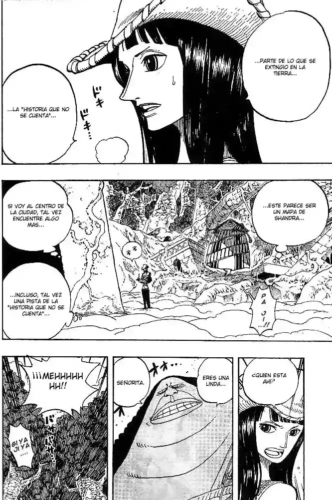 One Piece Capitulo 261 página 14