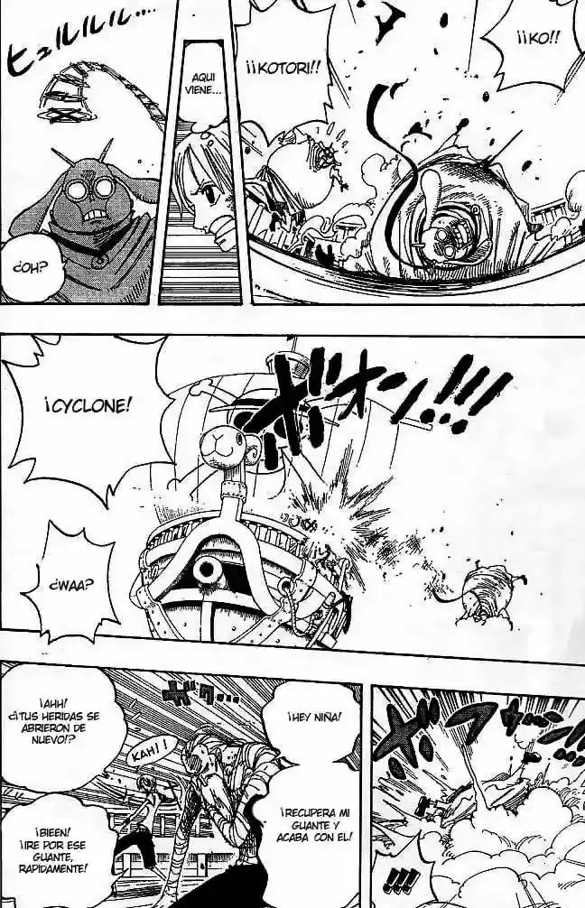 One Piece Capitulo 263 página 14
