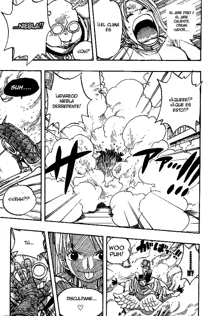 One Piece Capitulo 263 página 17