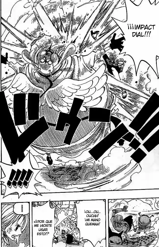 One Piece Capitulo 263 página 18