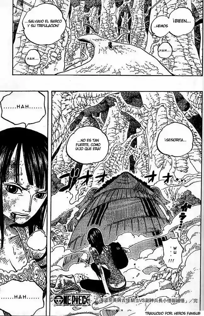 One Piece Capitulo 263 página 19