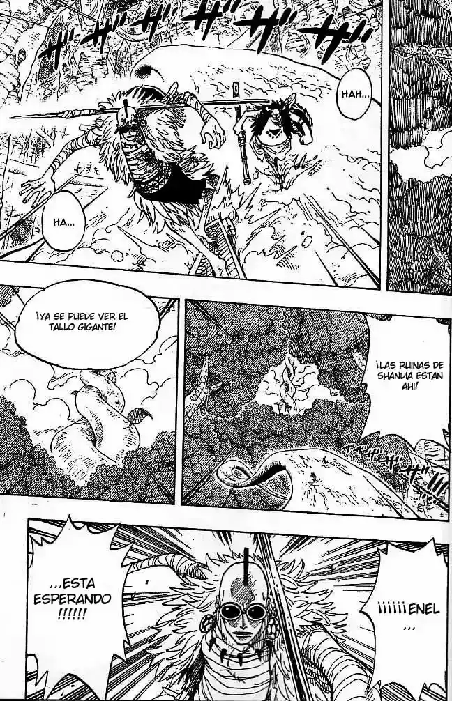 One Piece Capitulo 263 página 5